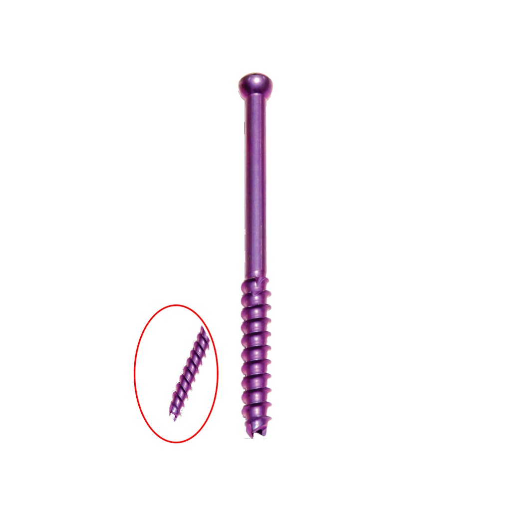 CANNULATED SCREWS