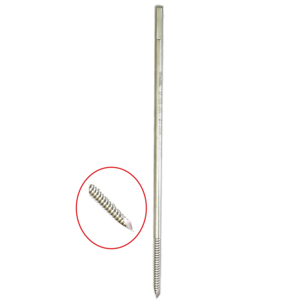 SCHANZ SCREWS PIN