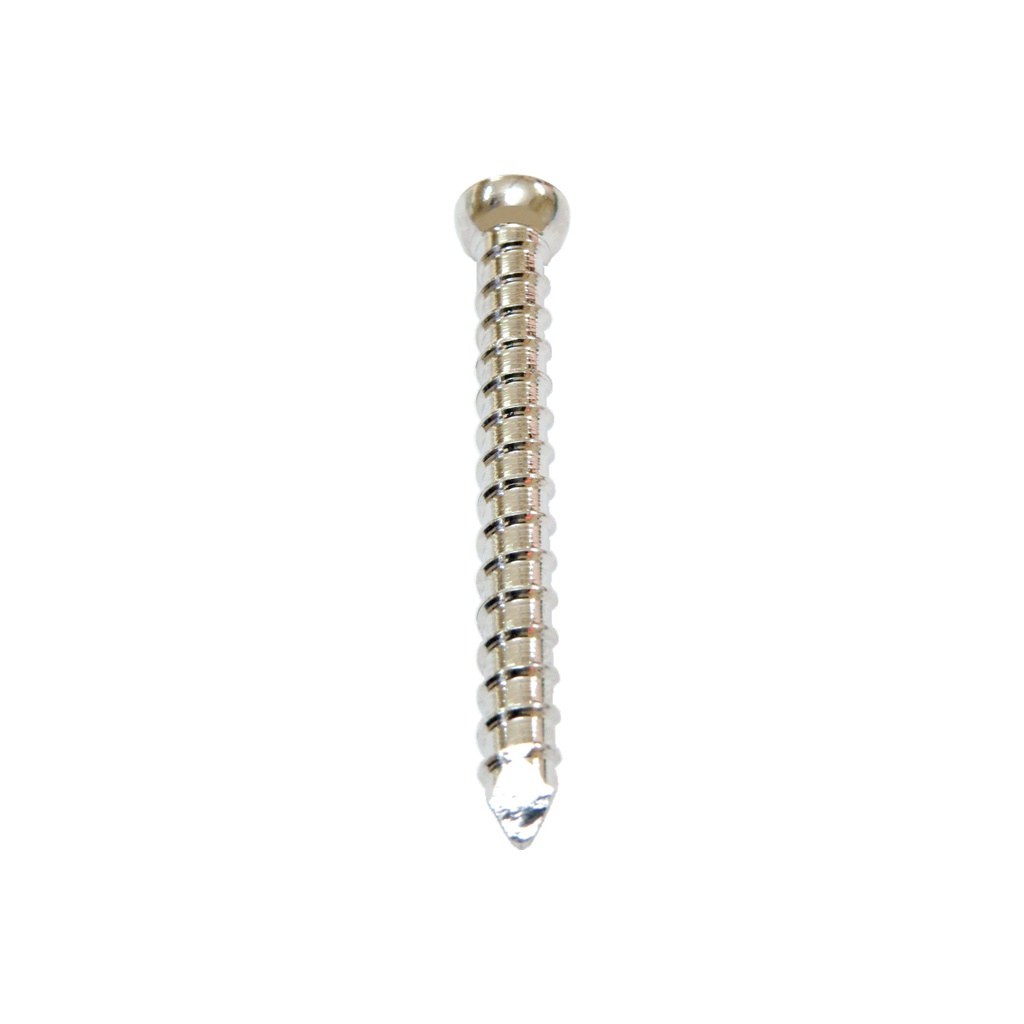 STANDARD LOCKING SCREW (استیل)