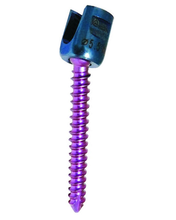 POLYAXIAL PEDICLE SCREWS (6.5mm)
