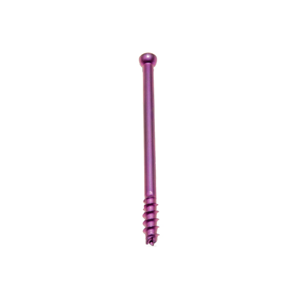 CANNYLATED SCREWS (استیل)
